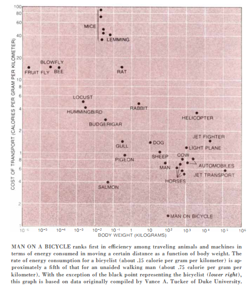 Transport efficientie