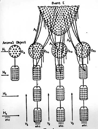 Structral differential