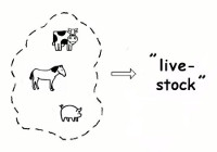 Verzamelwoorden Livestock