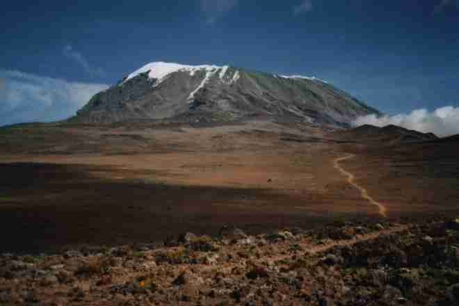 Kilimanjaro 1